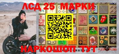спиды Бердск
