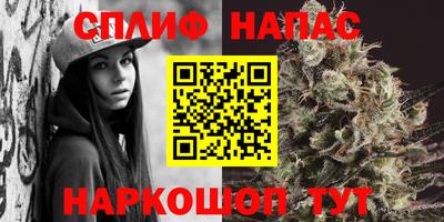 спиды Бердск