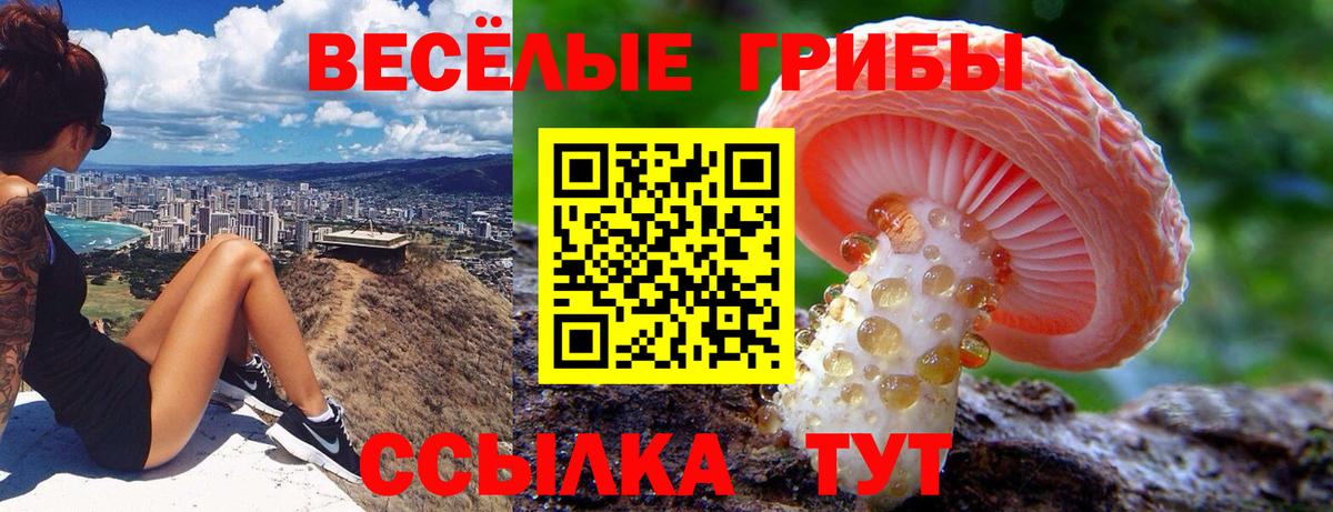 Железноводск  Галлюциногенные грибы ЛСД  сколько стоит  Галлюциногенные грибы Psilocybine cubensis  Вход с VPN 