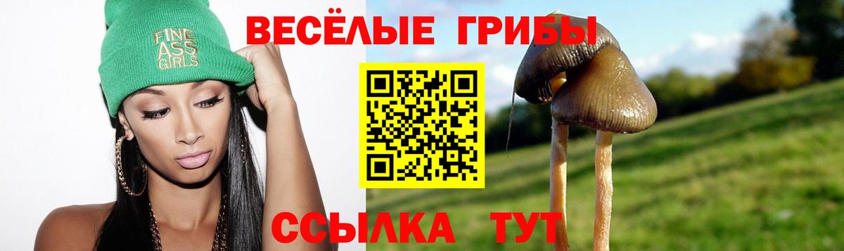 Галлюциногенные грибы GOLDEN TEACHER Железноводск