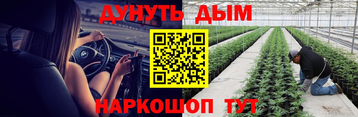 Бошки марихуана ГИДРОПОН Железноводск